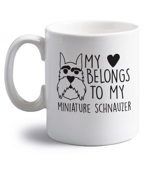 My heart belongs to my miniature schnauzer right handed white ceramic mug 