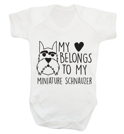 My heart belongs to my miniature schnauzer Baby Vest white 18-24 months
