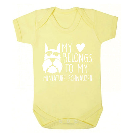My heart belongs to my miniature schnauzer Baby Vest pale yellow 18-24 months