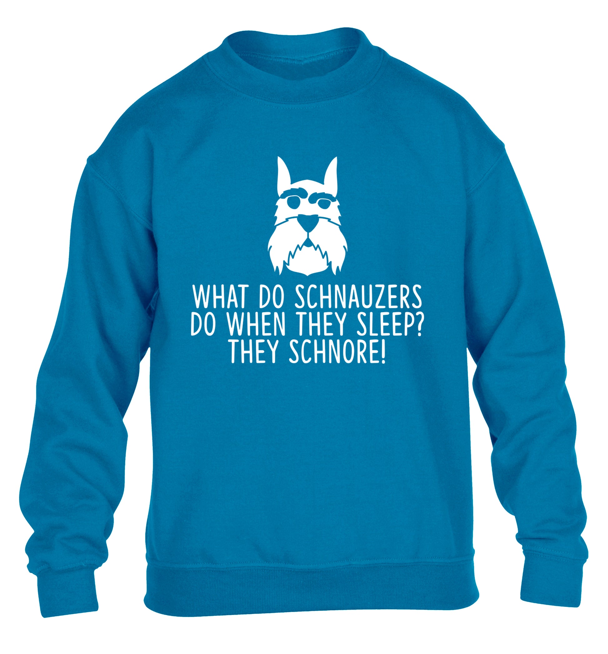 What do schnauzers do when they sleep? Schnore! children's blue sweater 12-13 Years