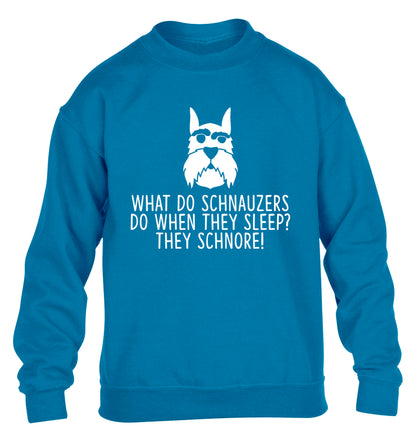 What do schnauzers do when they sleep? Schnore! children's blue sweater 12-13 Years