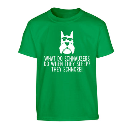 What do schnauzers do when they sleep? Schnore! Children's green Tshirt 12-13 Years