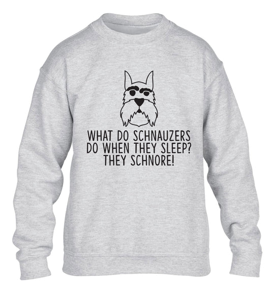What do schnauzers do when they sleep? Schnore! children's grey sweater 12-13 Years