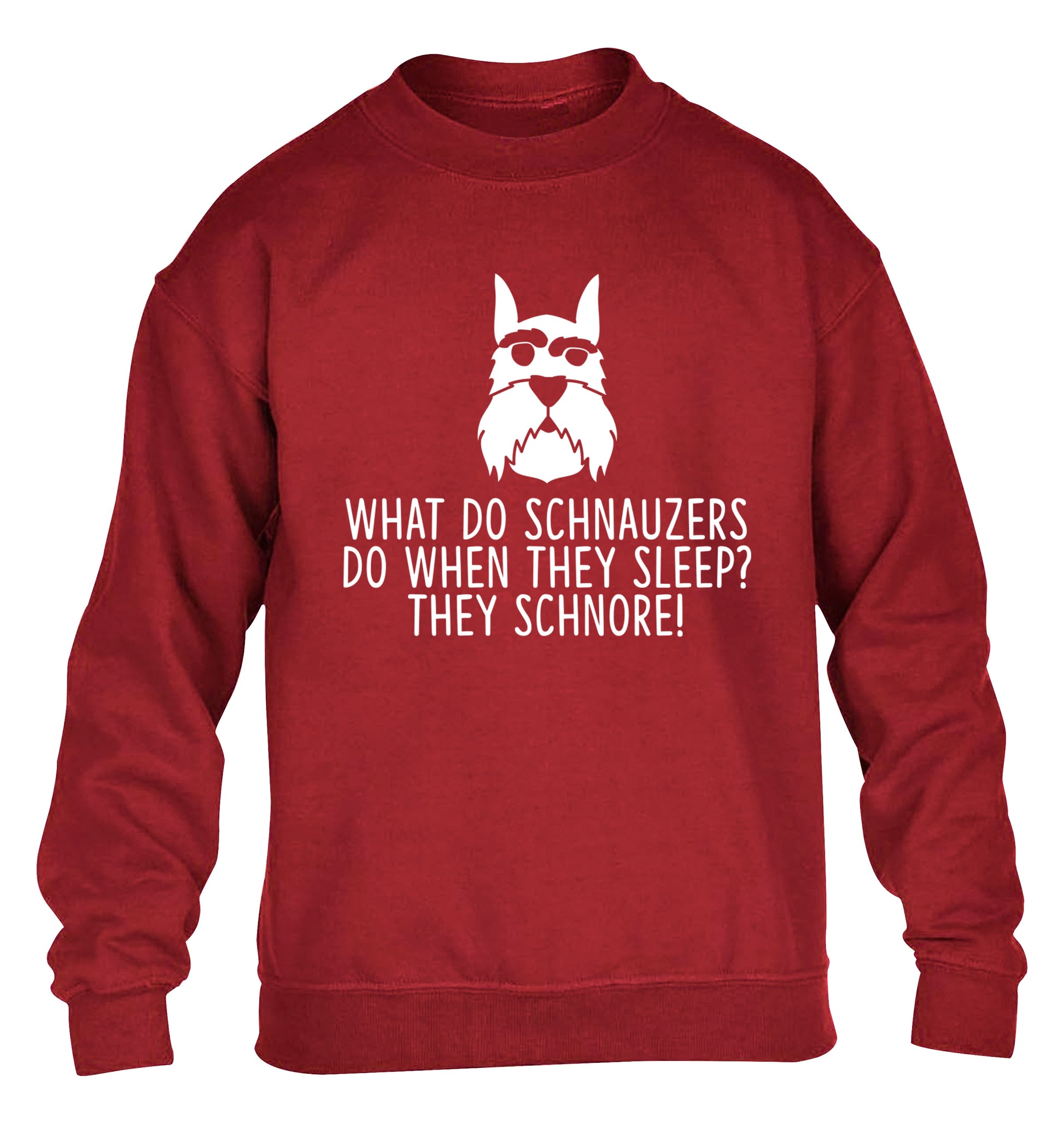 What do schnauzers do when they sleep? Schnore! children's grey sweater 12-13 Years