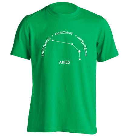 Aries enthusiastic | passionate | adventerous adults unisex green Tshirt 2XL
