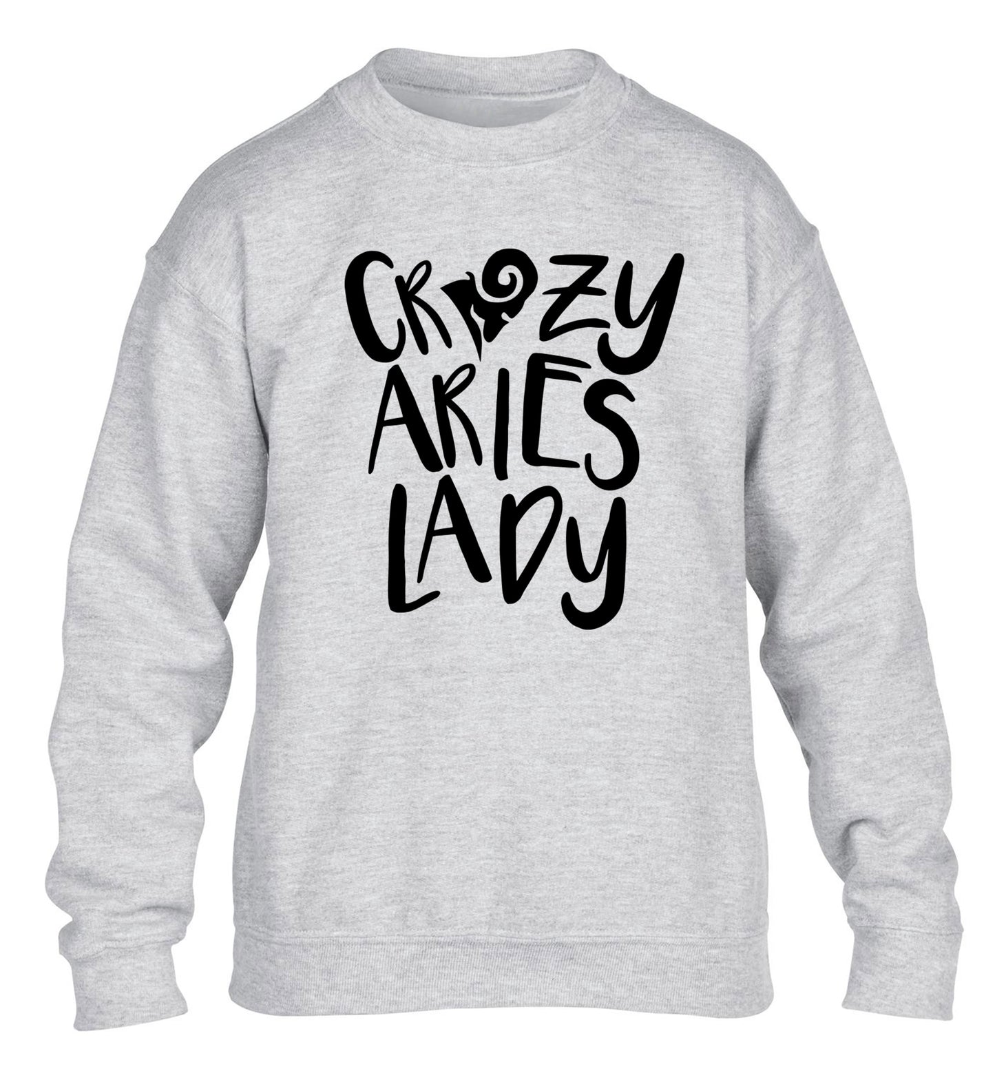 Crazy aries lady children's grey sweater 12-13 Years