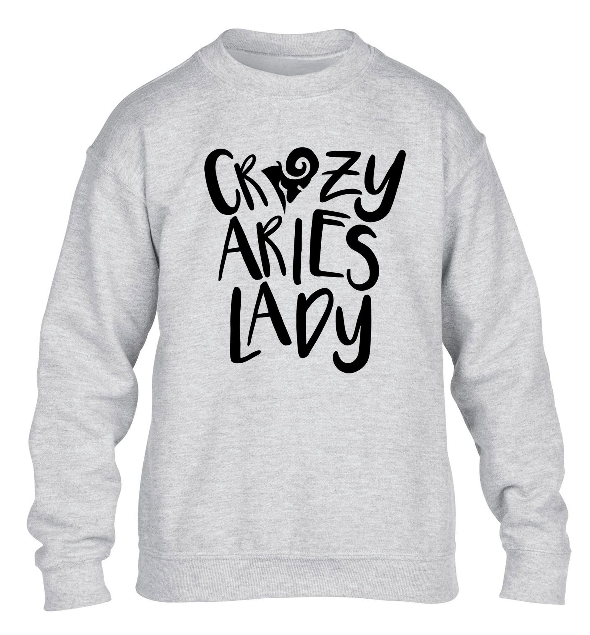 Crazy aries lady children's grey sweater 12-13 Years