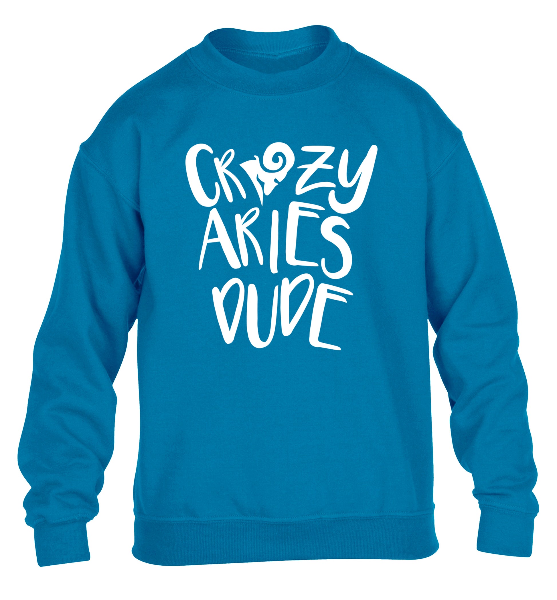 Crazy aries dude children's blue sweater 12-13 Years