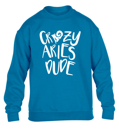 Crazy aries dude children's blue sweater 12-13 Years