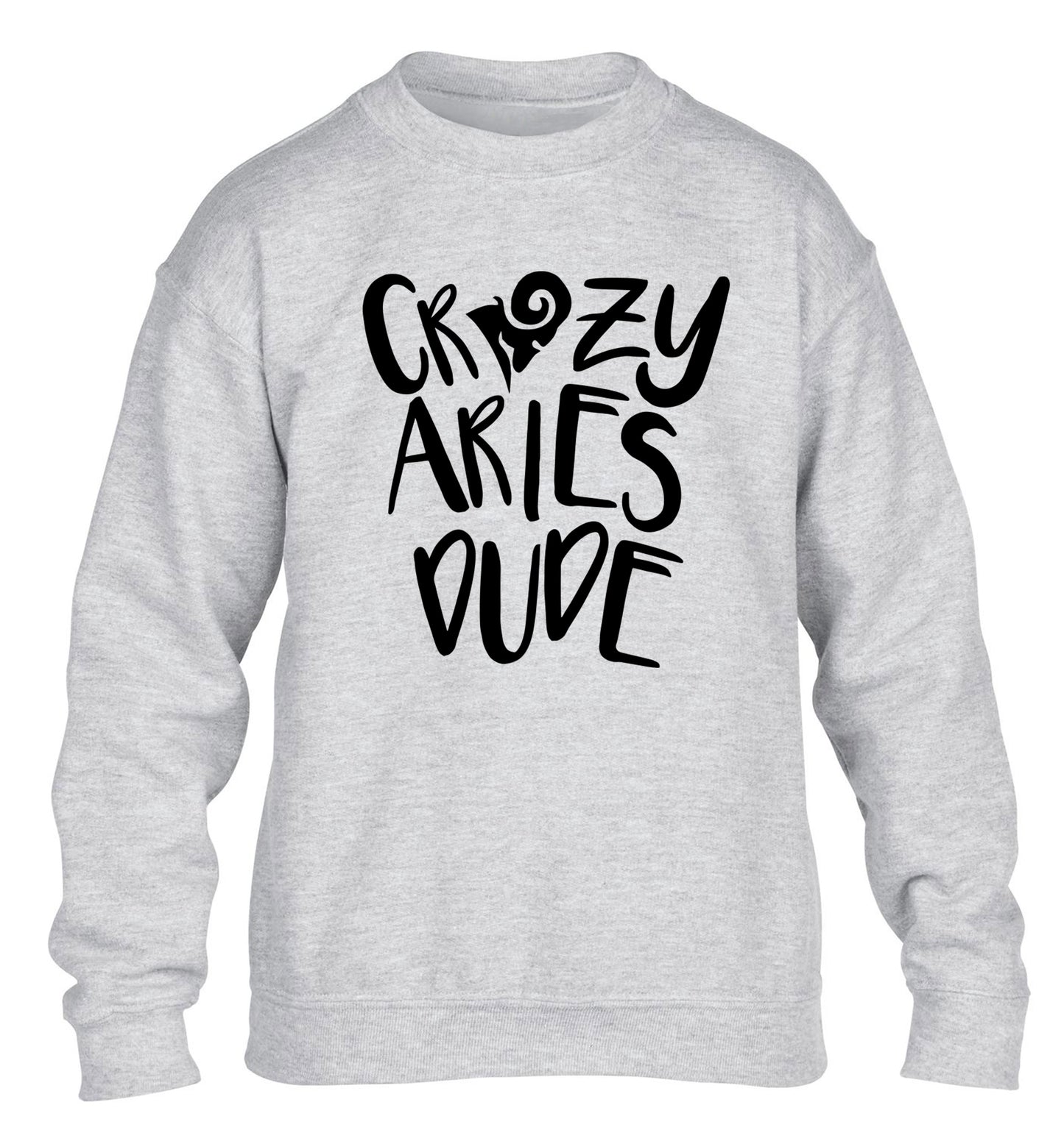 Crazy aries dude children's grey sweater 12-13 Years