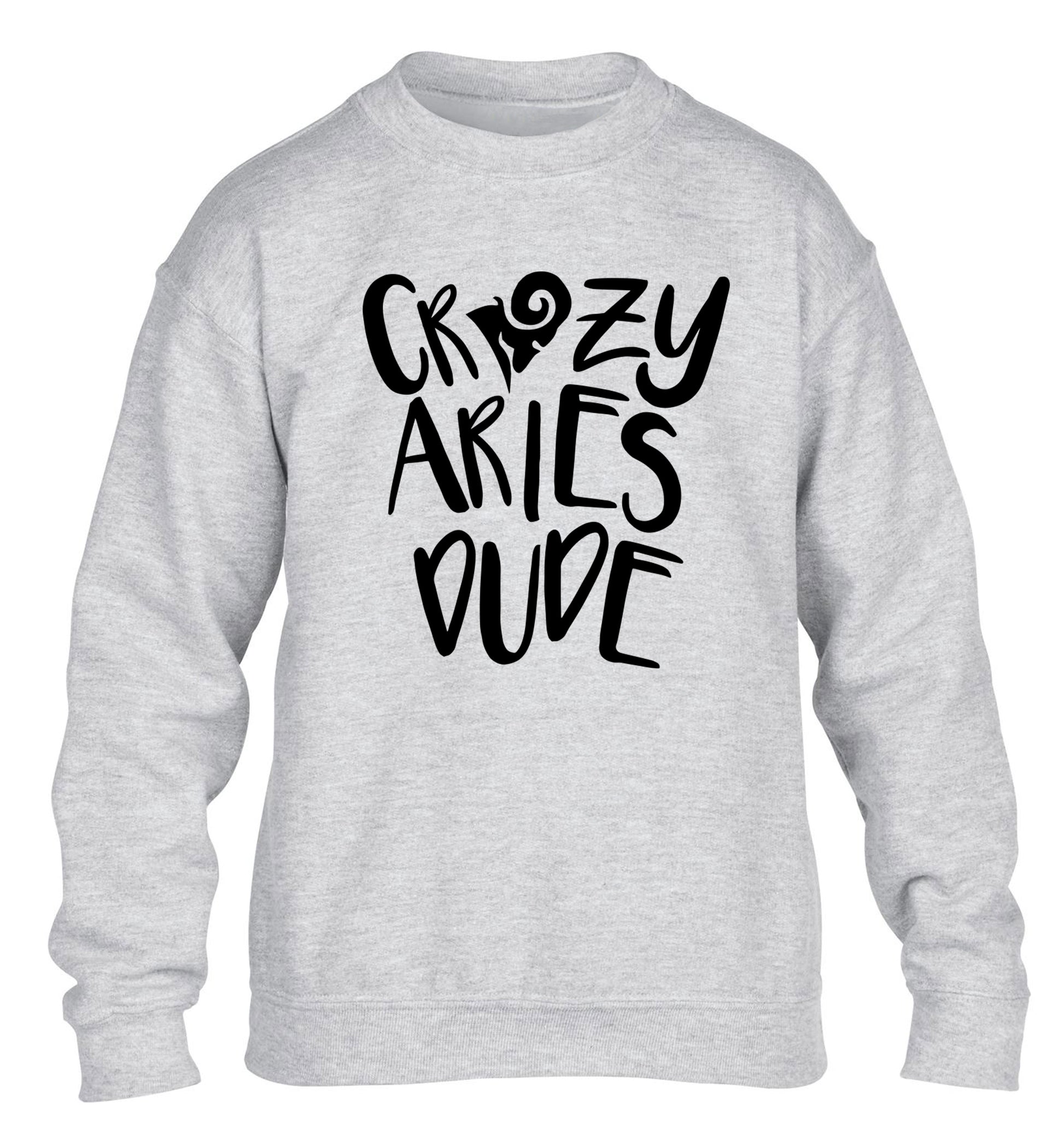 Crazy aries dude children's grey sweater 12-13 Years