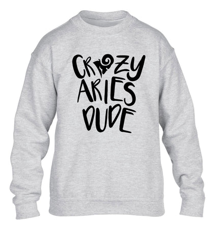 Crazy aries dude children's grey sweater 12-13 Years