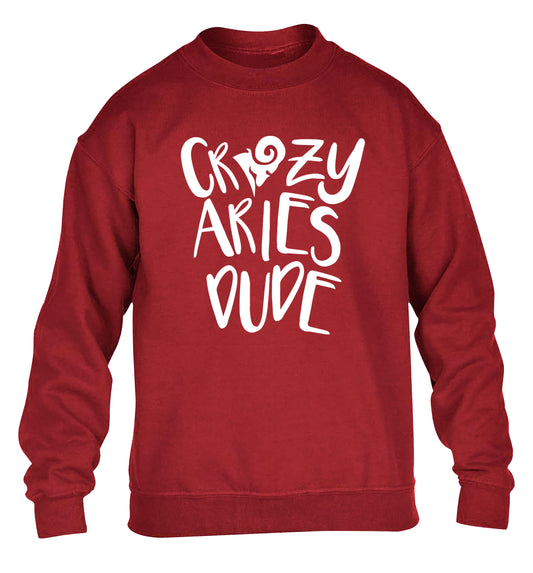 Crazy aries dude children's grey sweater 12-13 Years