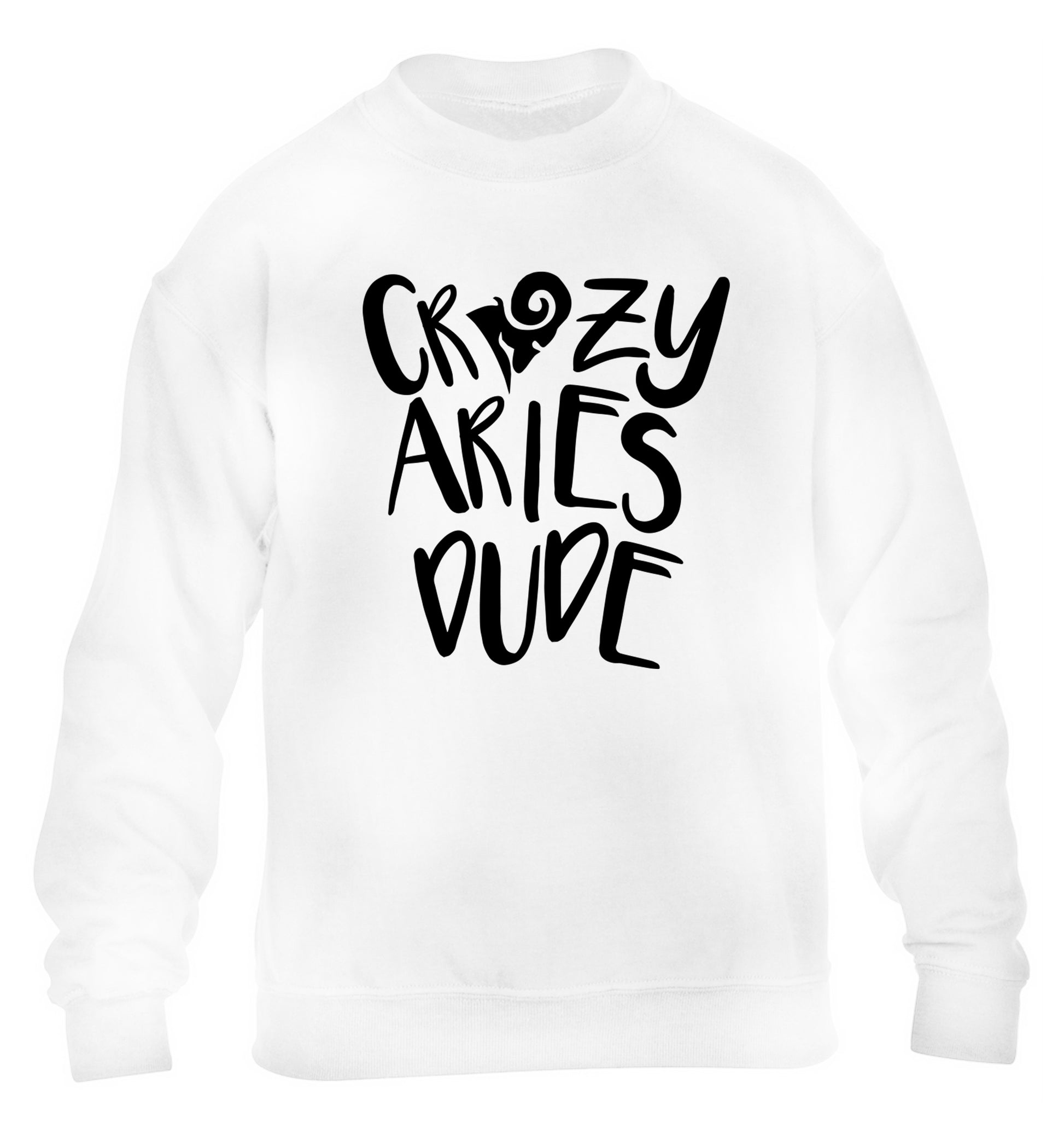 Crazy aries dude children's white sweater 12-13 Years