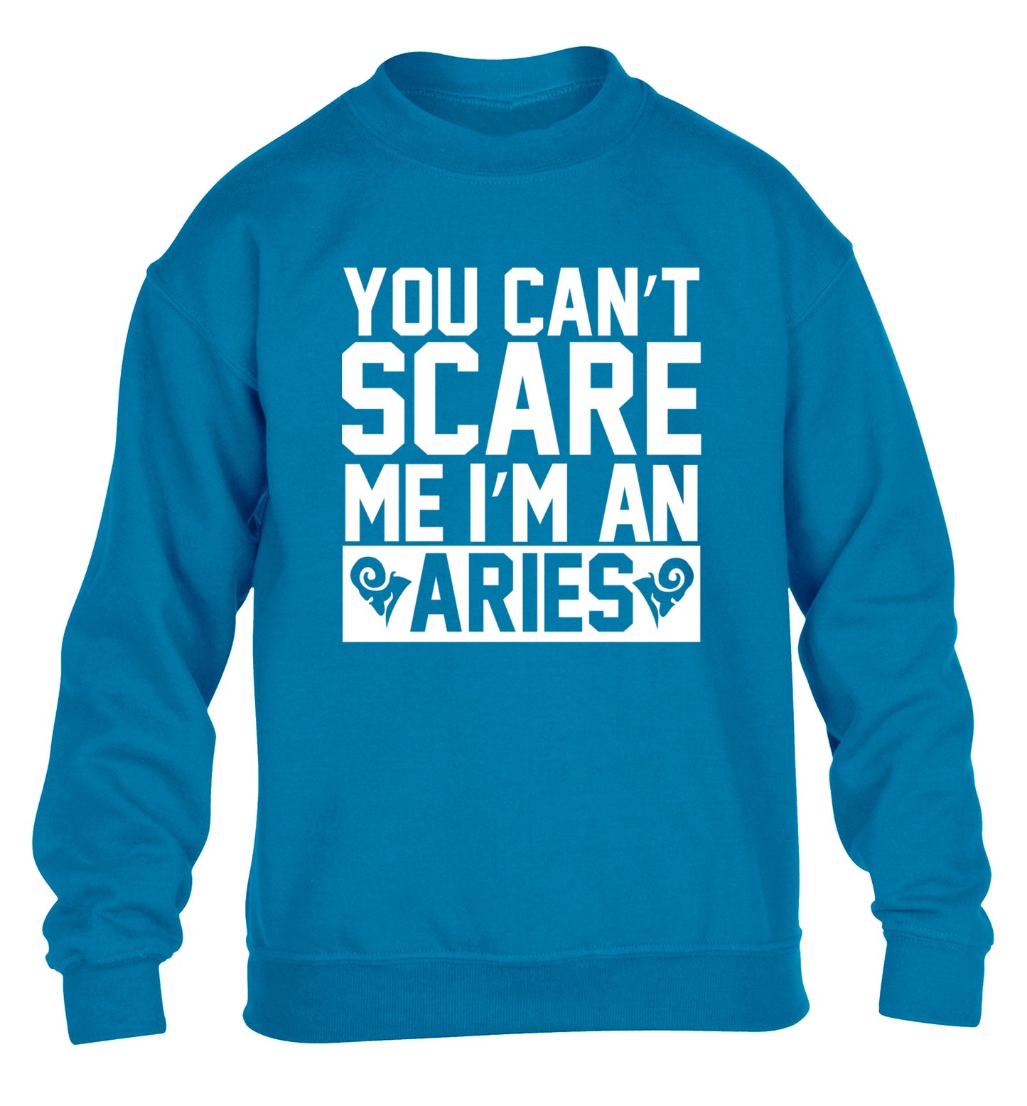 You can't scare me I'm an aries children's blue sweater 12-13 Years