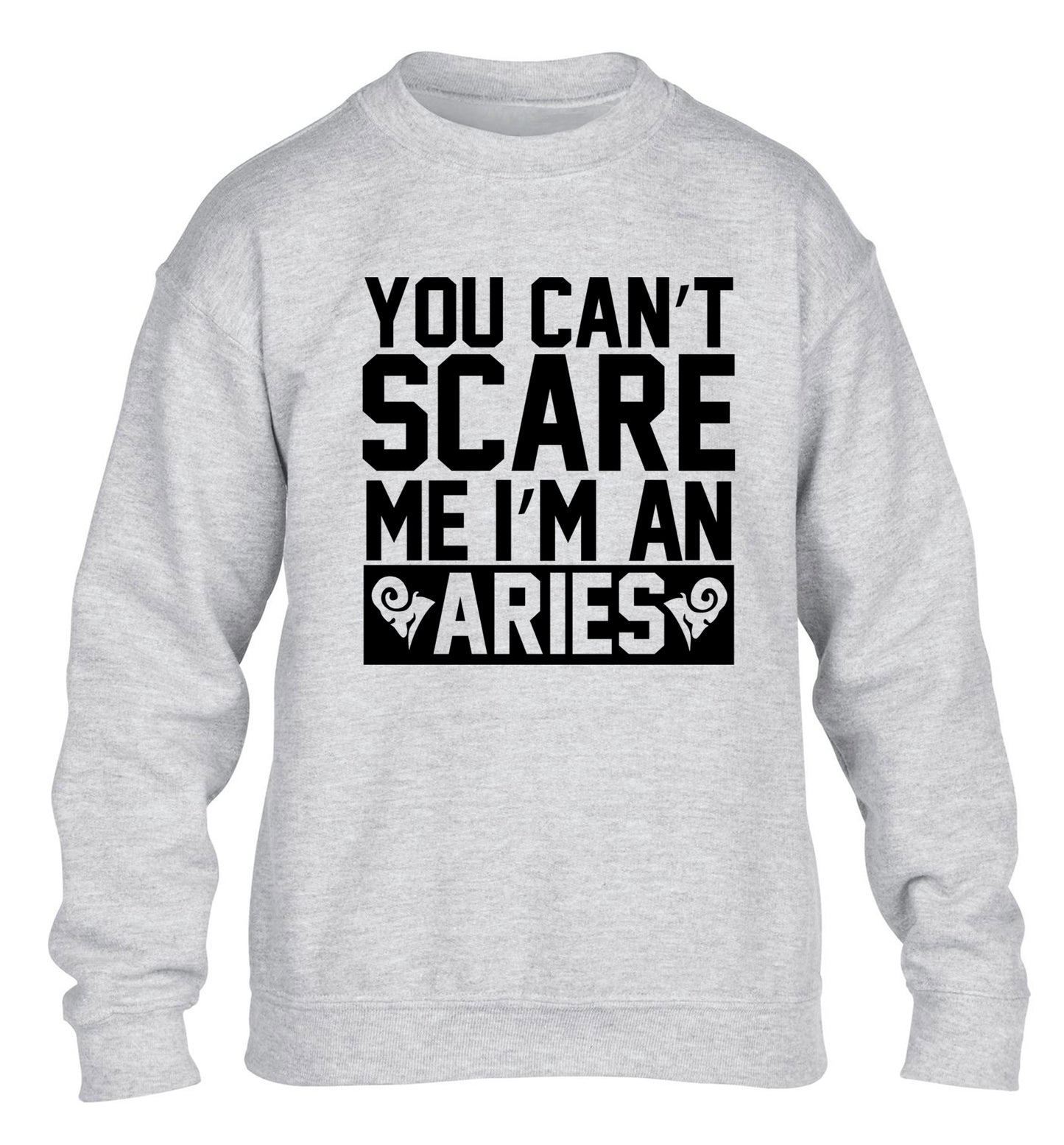 You can't scare me I'm an aries children's grey sweater 12-13 Years
