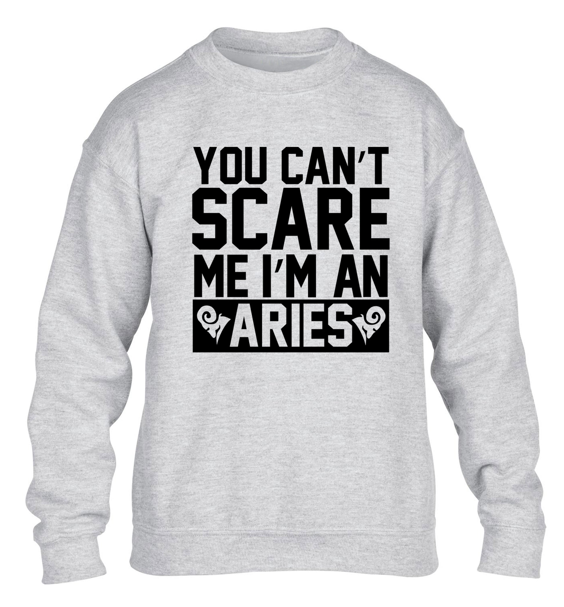 You can't scare me I'm an aries children's grey sweater 12-13 Years