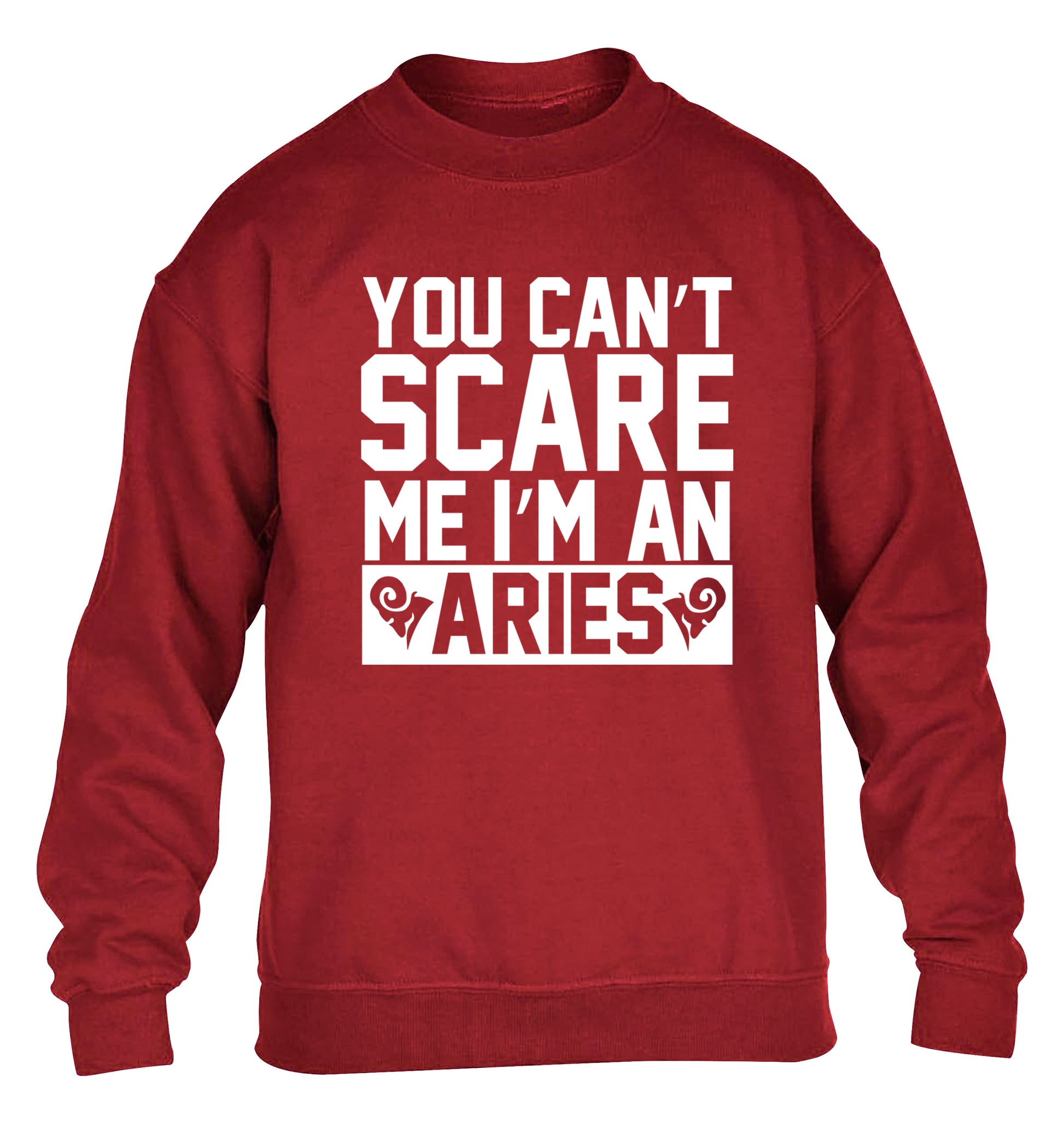 You can't scare me I'm an aries children's grey sweater 12-13 Years