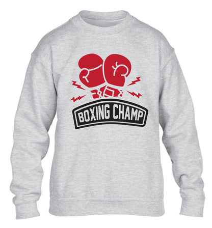 Boxing Champ children's grey sweater 12-13 Years