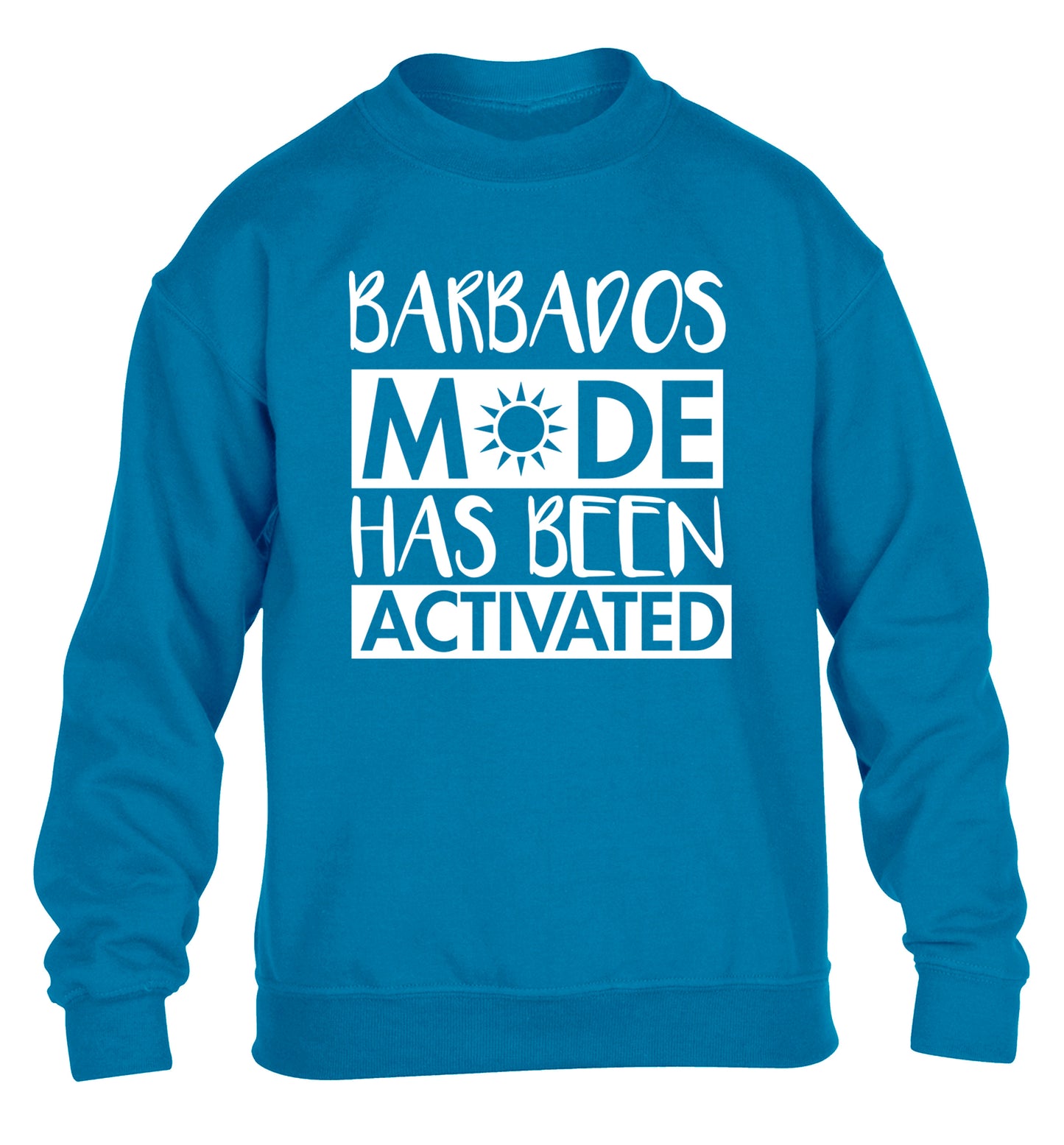Barbados mode has been activated children's blue sweater 12-13 Years
