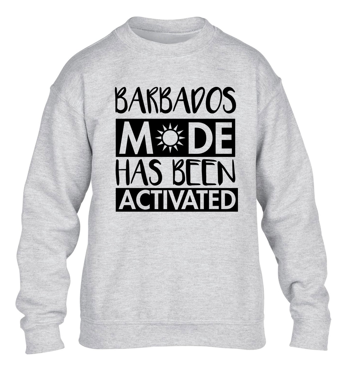 Barbados mode has been activated children's grey sweater 12-13 Years