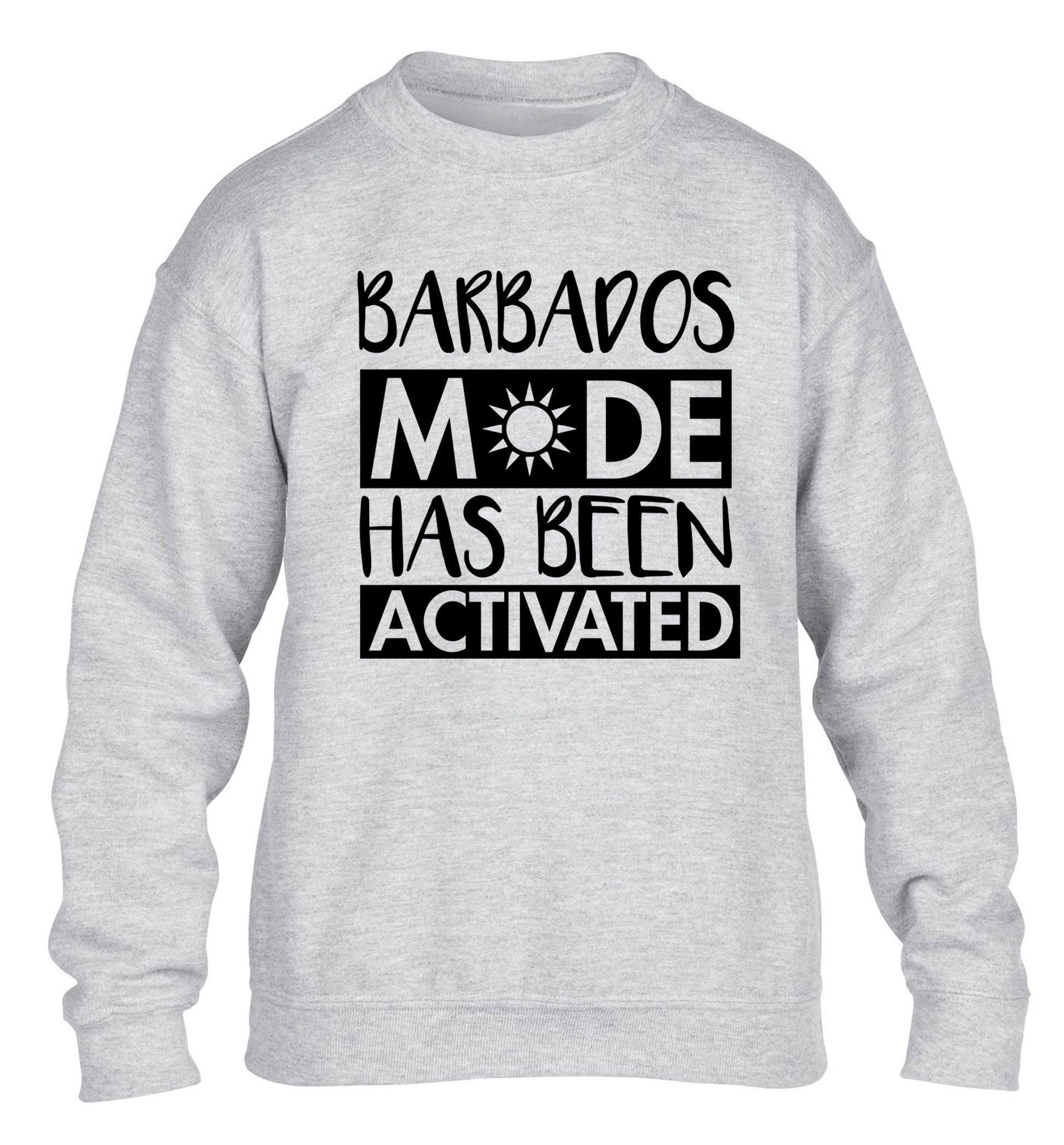 Barbados mode has been activated children's grey sweater 12-13 Years