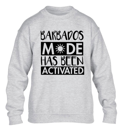 Barbados mode has been activated children's grey sweater 12-13 Years