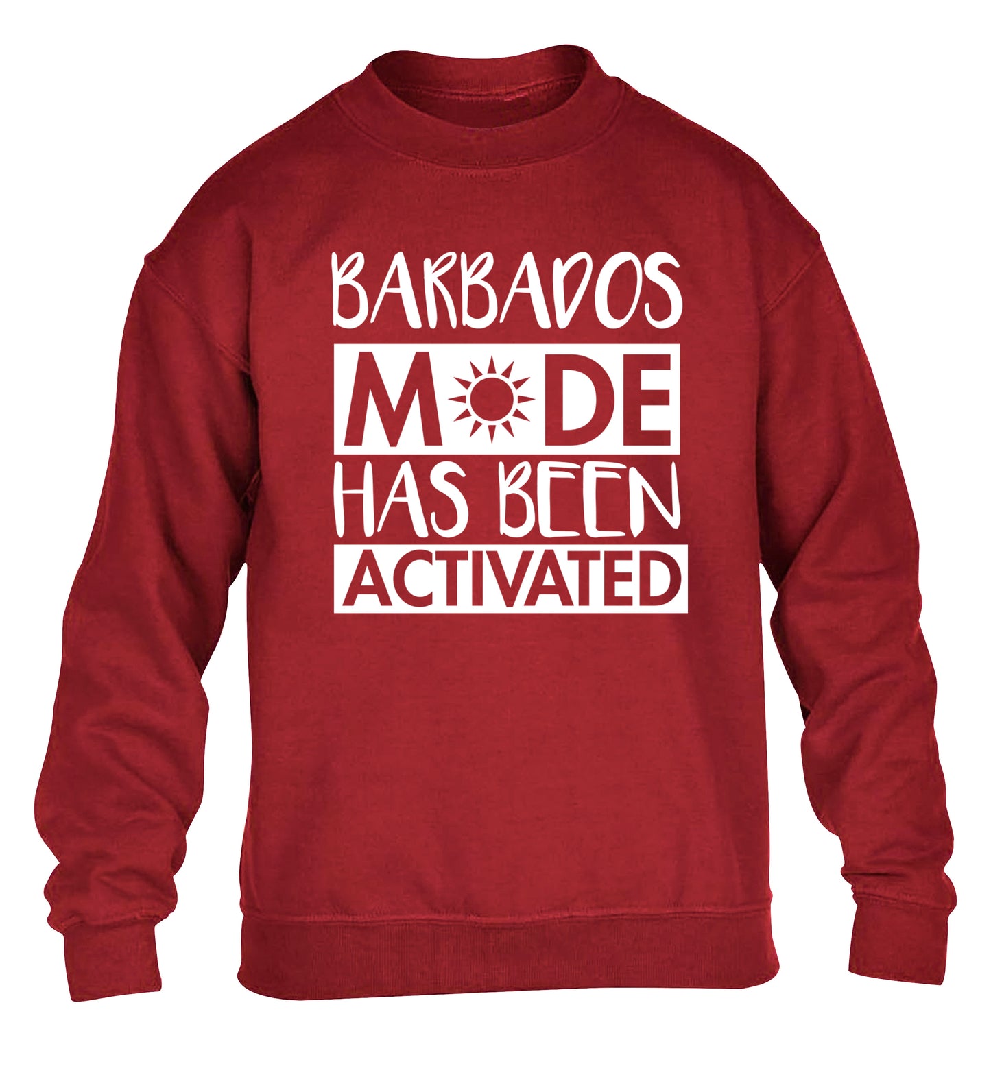 Barbados mode has been activated children's grey sweater 12-13 Years