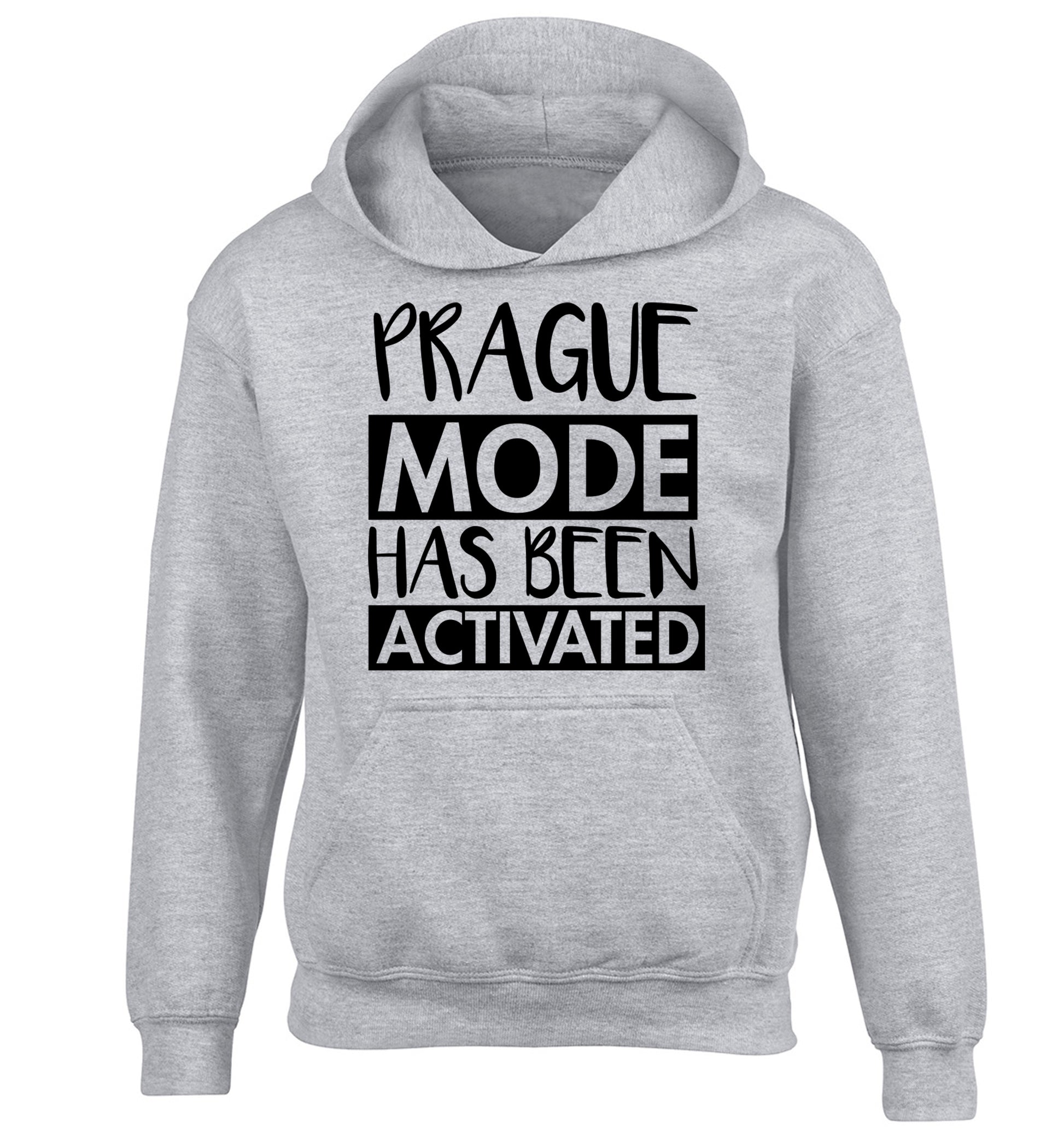 Prague mode has been activated children's grey hoodie 12-13 Years