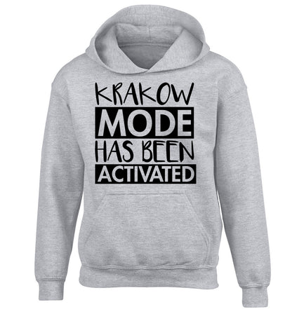 Krakow mode has been activated children's grey hoodie 12-13 Years