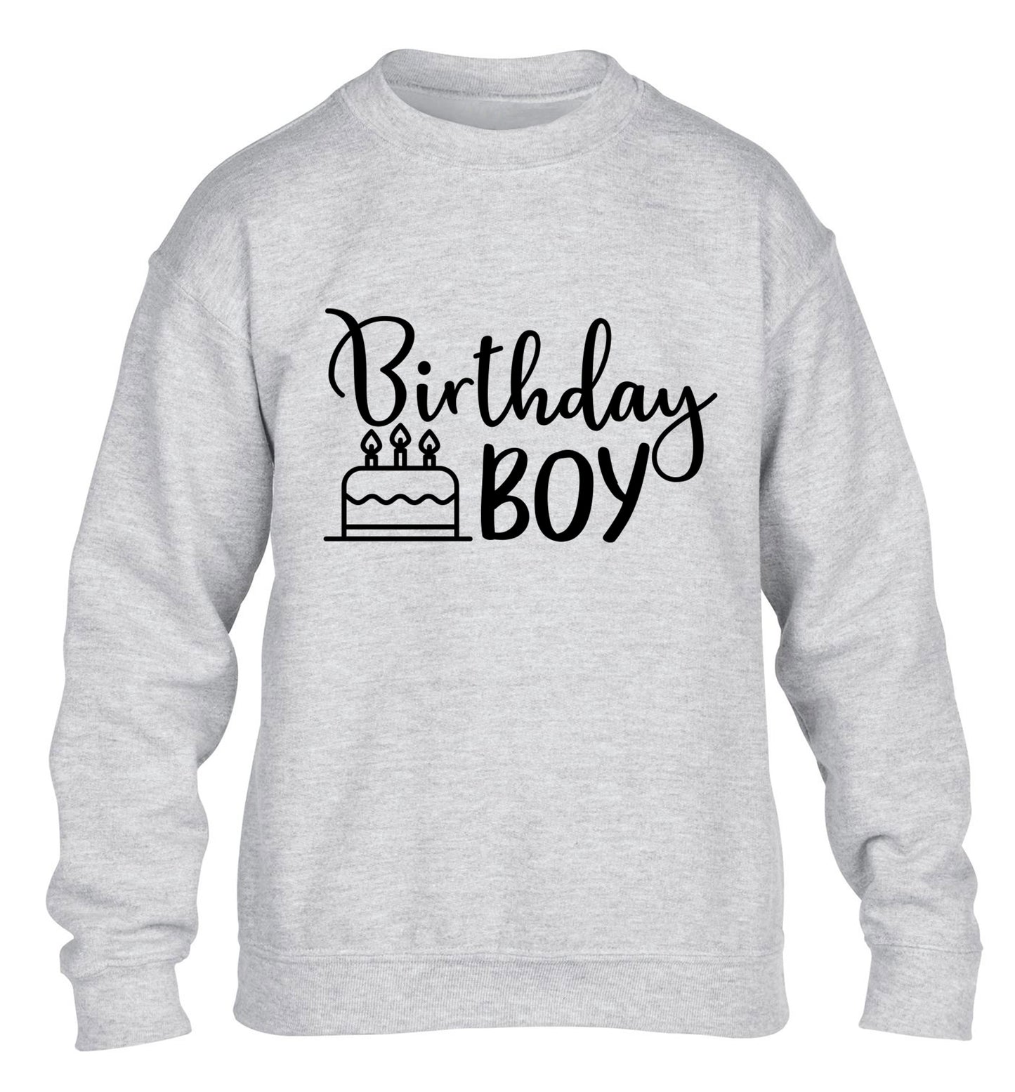 Birthday Boy children's grey sweater 12-13 Years