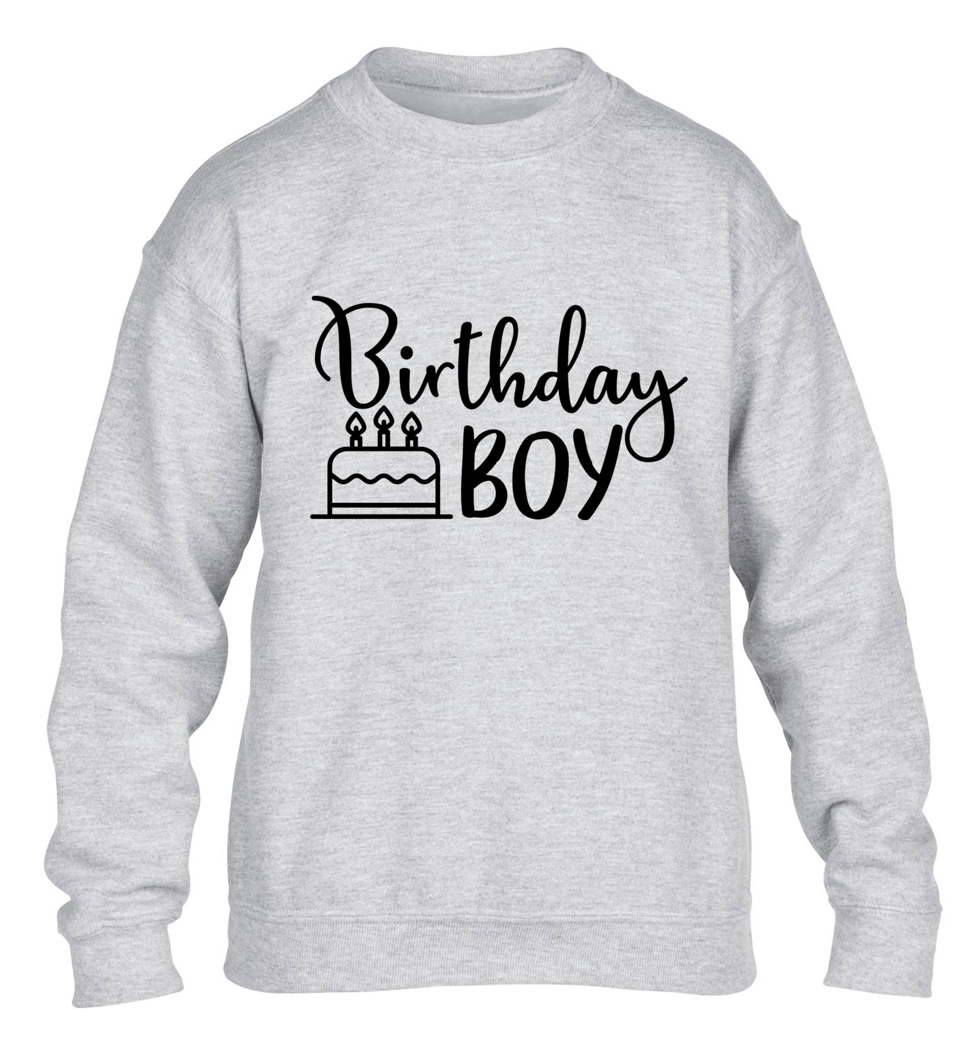 Birthday Boy children's grey sweater 12-13 Years