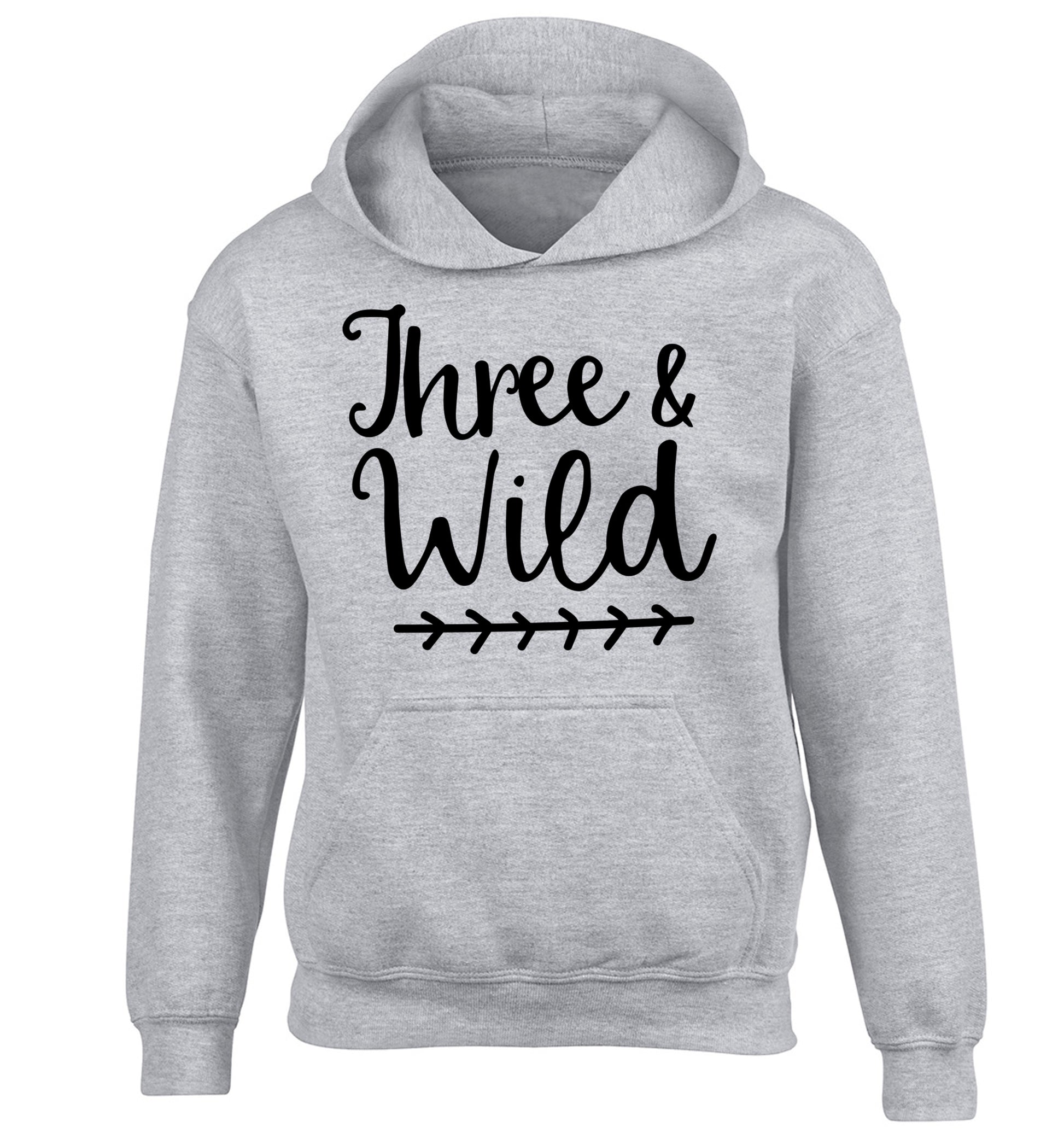 Three and wild children's grey hoodie 12-13 Years