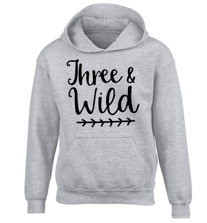 Three and wild children's grey hoodie 12-13 Years