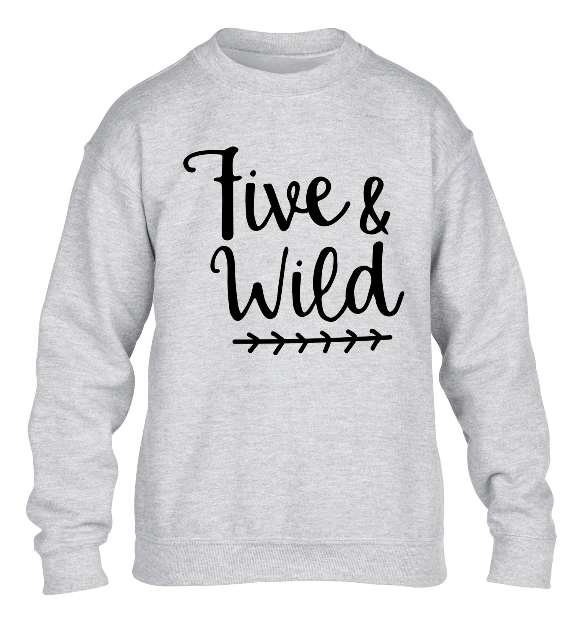 Five and wild children's grey sweater 12-13 Years