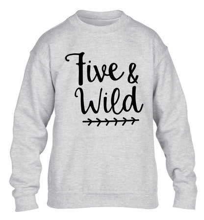 Five and wild children's grey sweater 12-13 Years