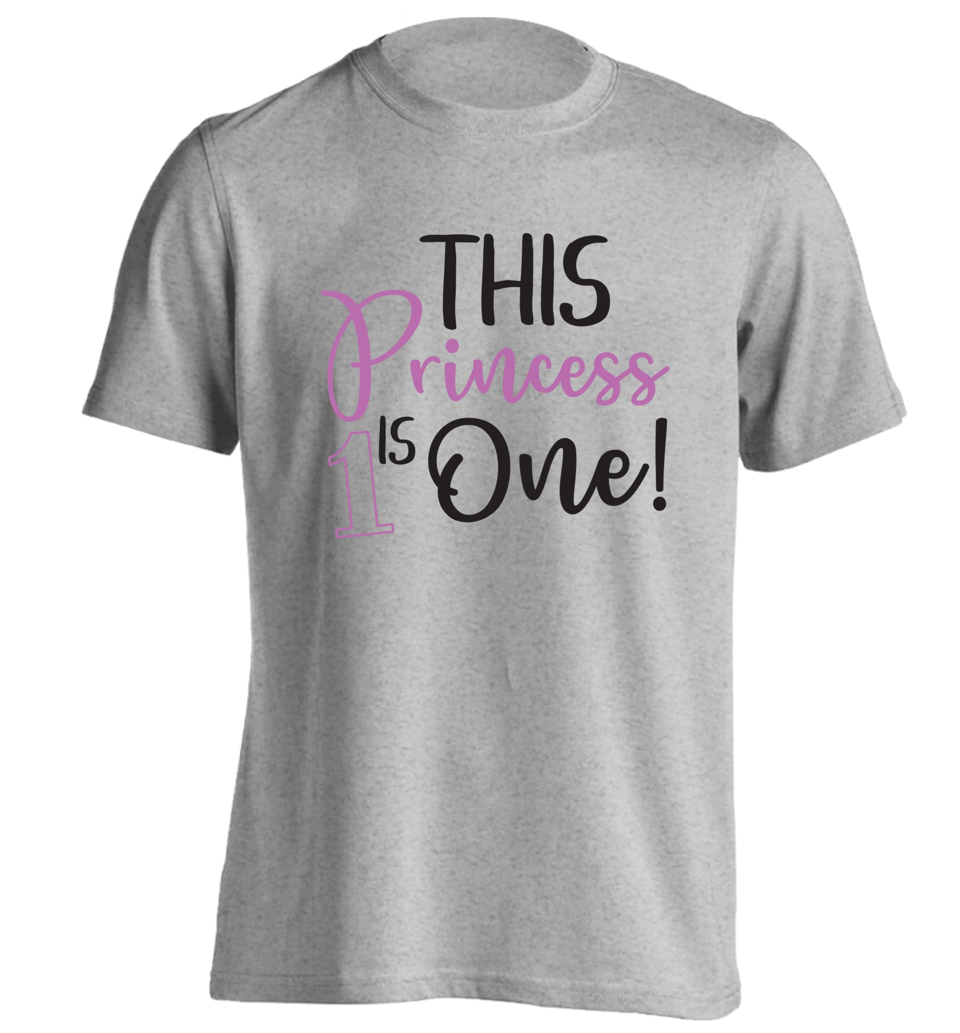This princess is one adults unisex grey Tshirt 2XL