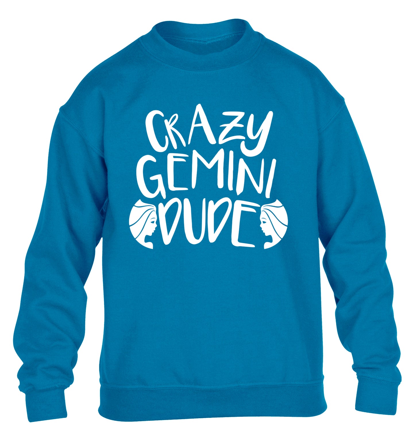 Crazy Gemini dude children's blue sweater 12-13 Years