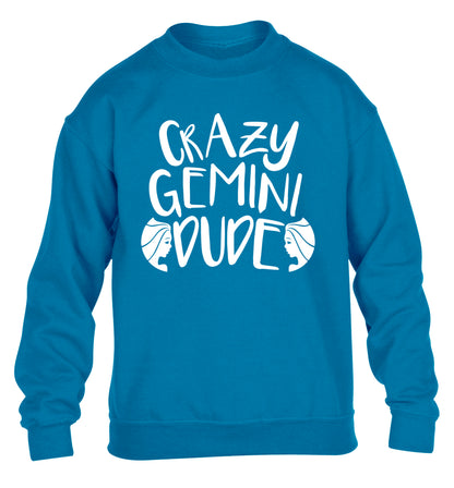 Crazy Gemini dude children's blue sweater 12-13 Years