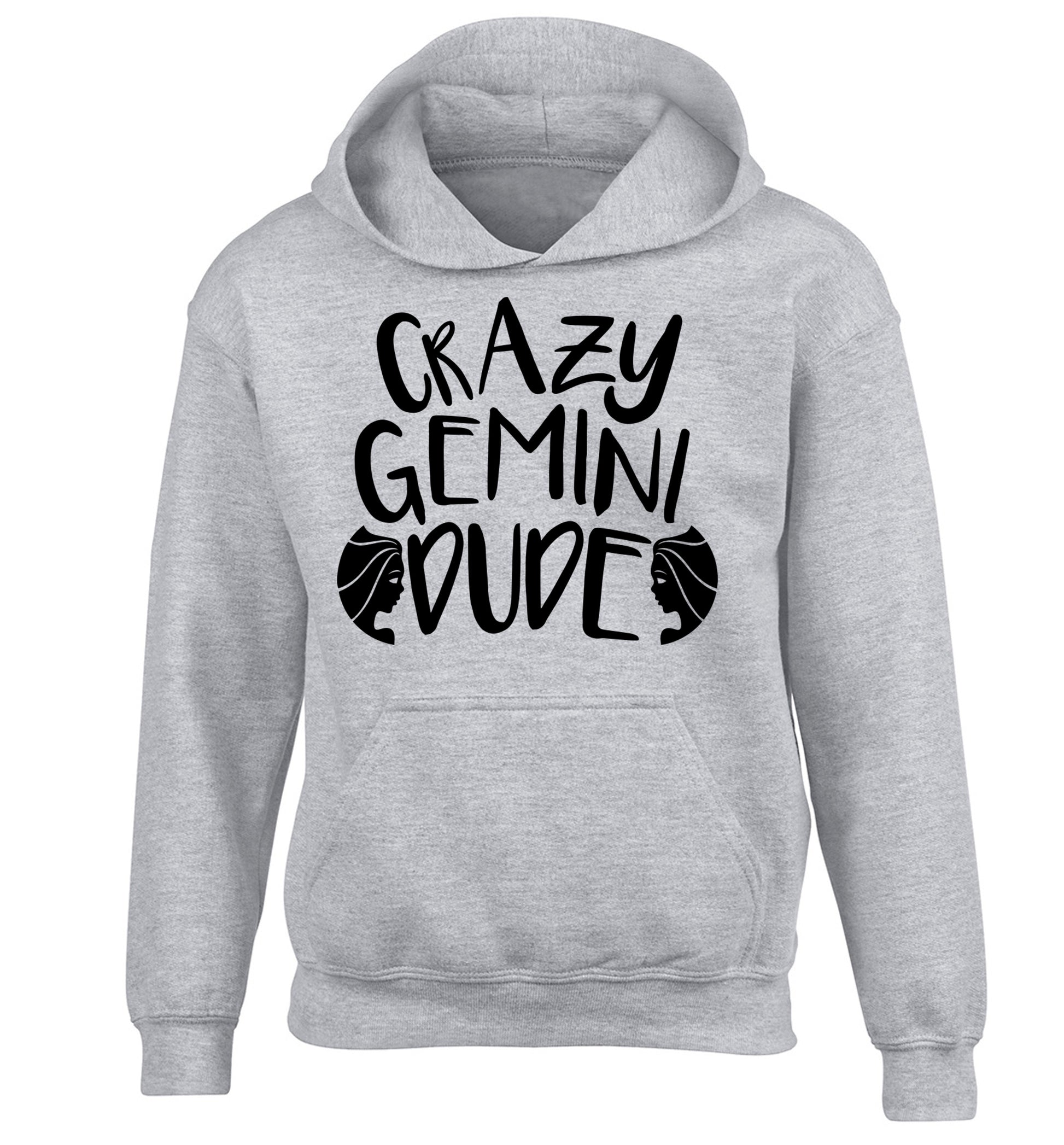 Crazy Gemini dude children's grey hoodie 12-13 Years