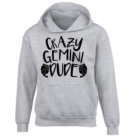 Crazy Gemini dude children's grey hoodie 12-13 Years