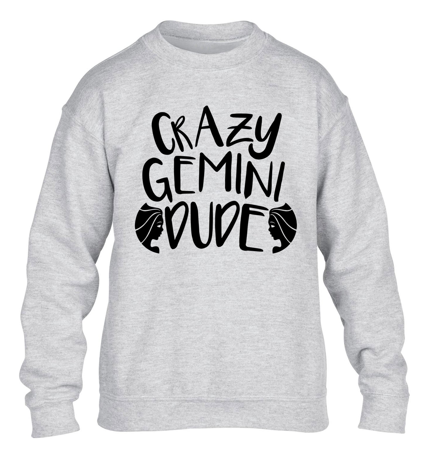 Crazy Gemini dude children's grey sweater 12-13 Years