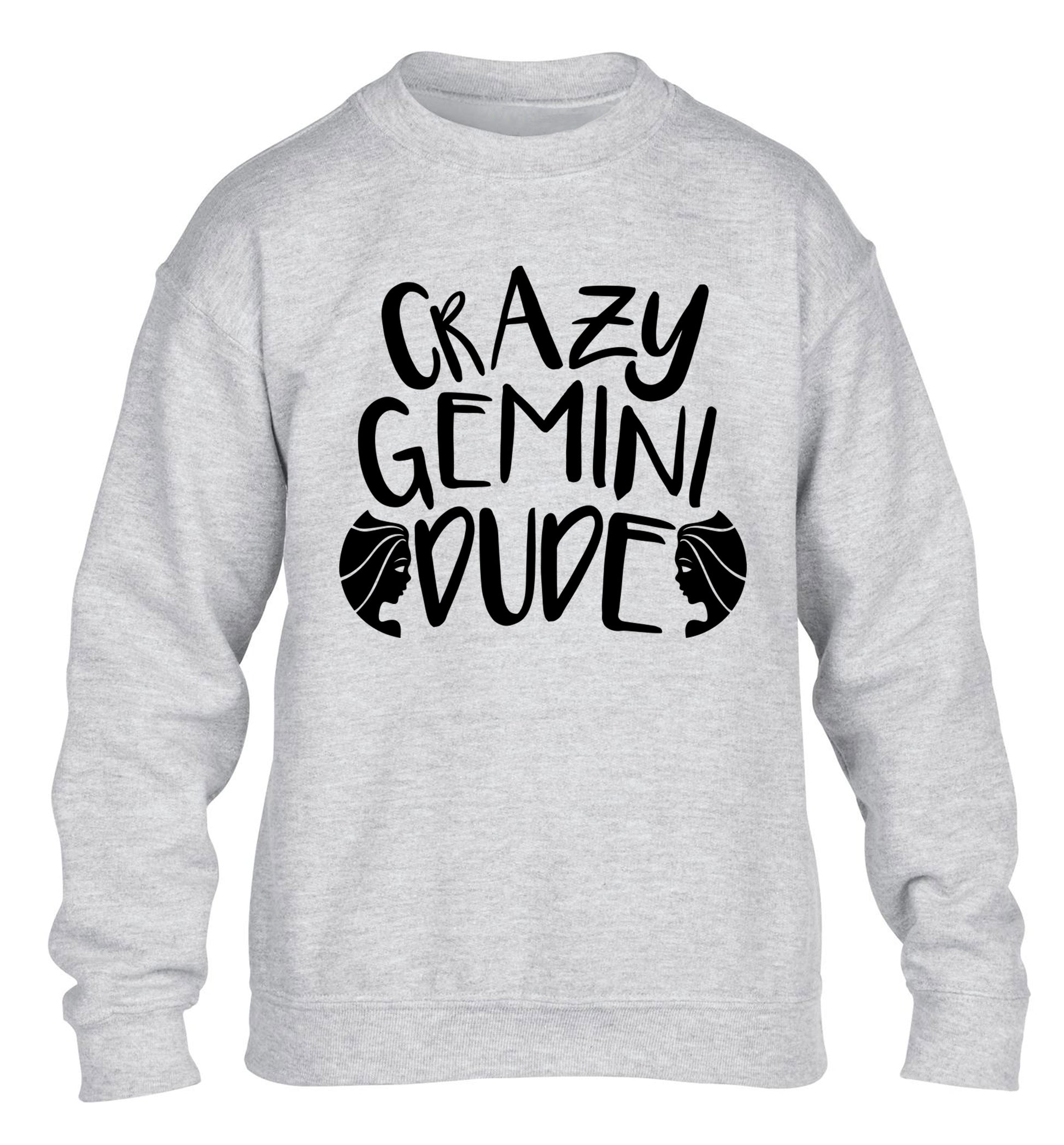 Crazy Gemini dude children's grey sweater 12-13 Years