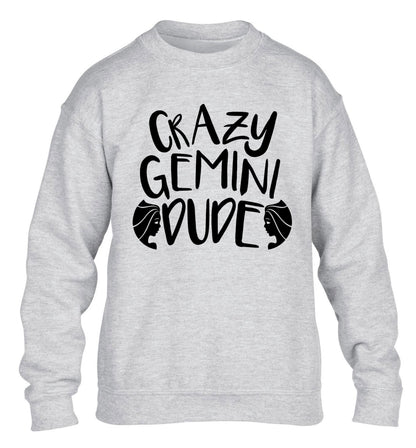 Crazy Gemini dude children's grey sweater 12-13 Years