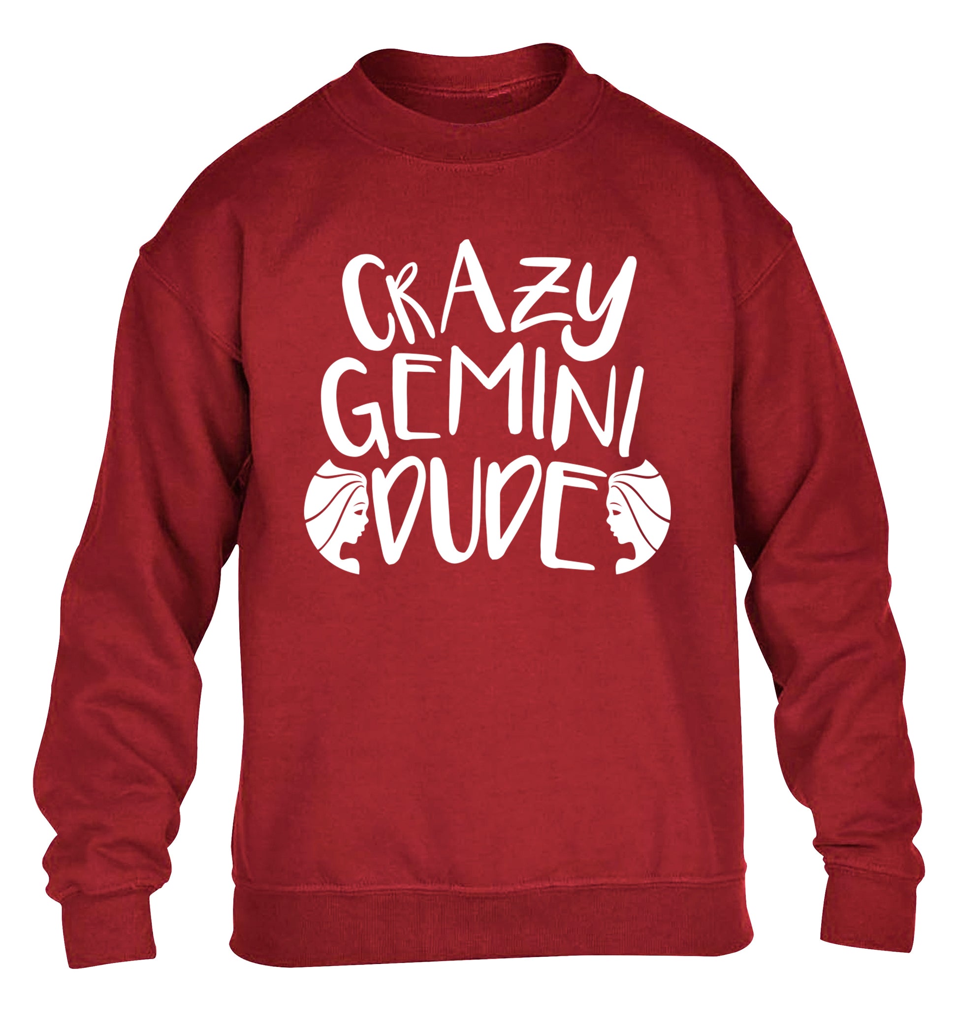 Crazy Gemini dude children's grey sweater 12-13 Years