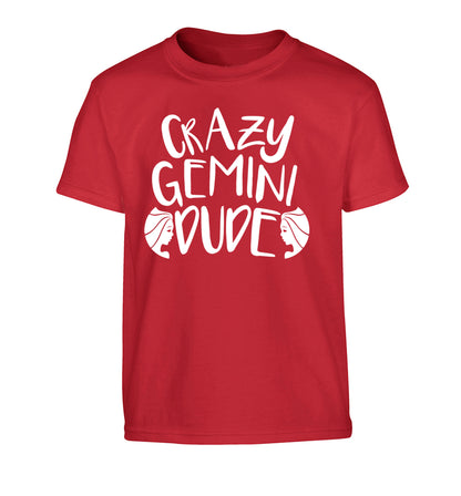 Crazy Gemini dude Children's red Tshirt 12-13 Years