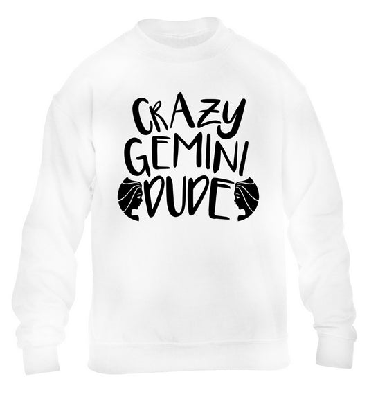 Crazy Gemini dude children's white sweater 12-13 Years
