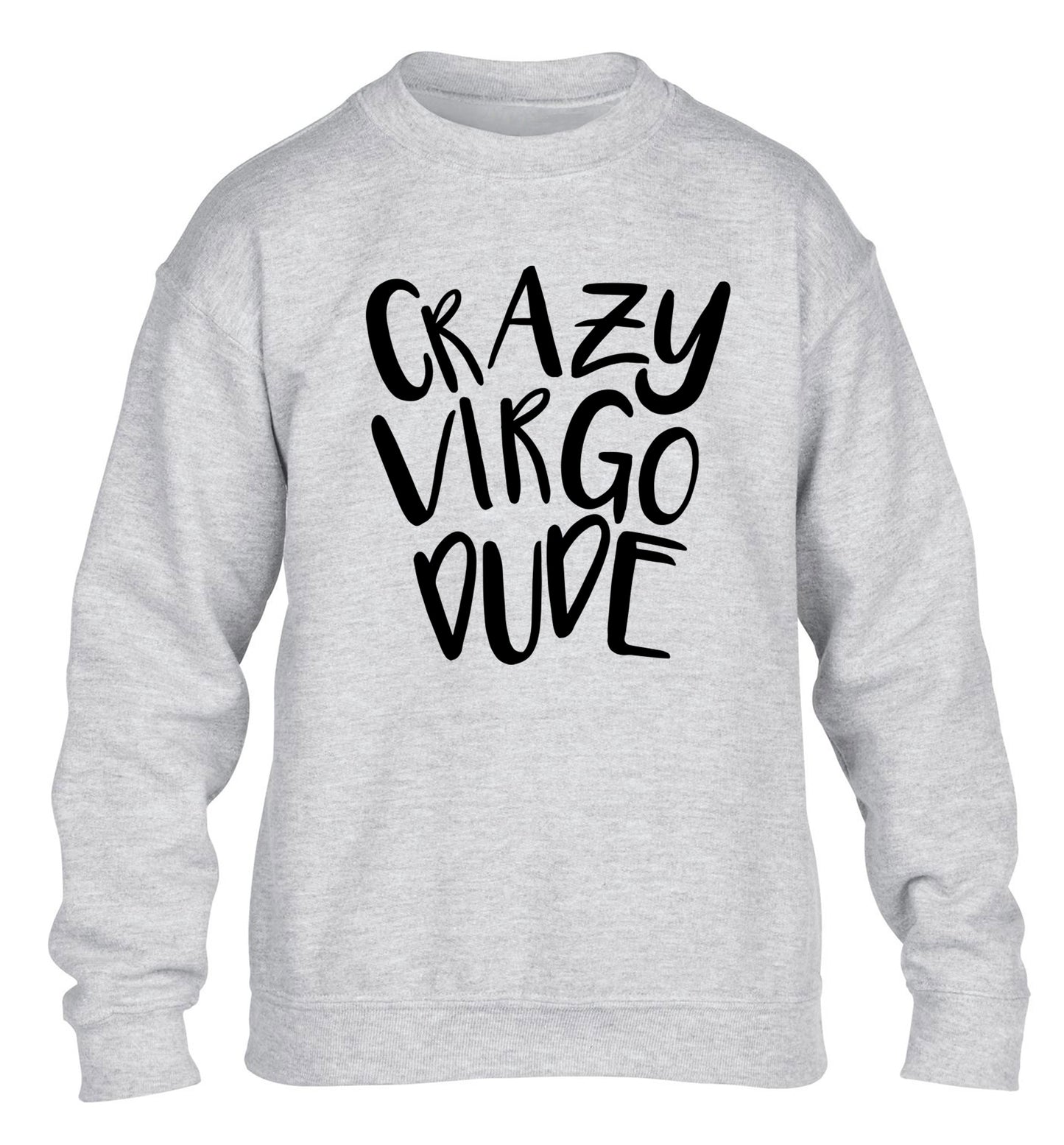 Crazy virgo dude children's grey sweater 12-13 Years