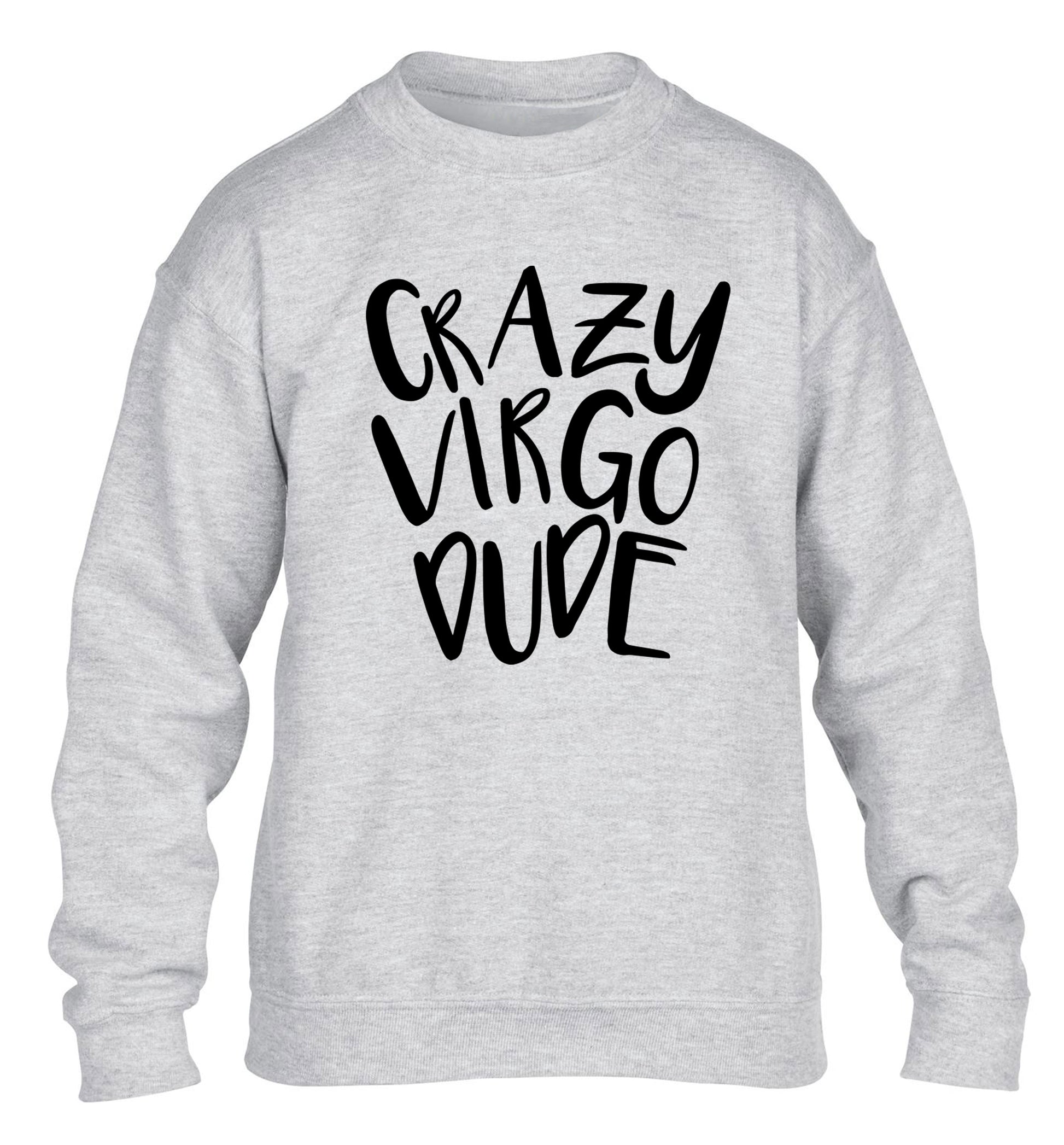 Crazy virgo dude children's grey sweater 12-13 Years
