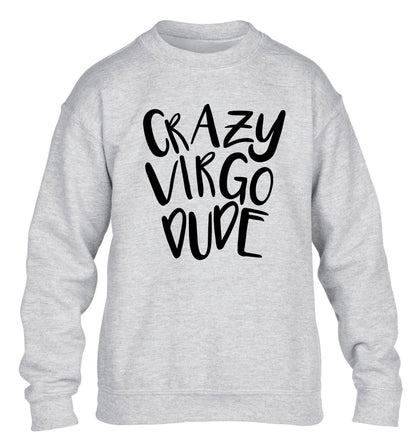 Crazy virgo dude children's grey sweater 12-13 Years